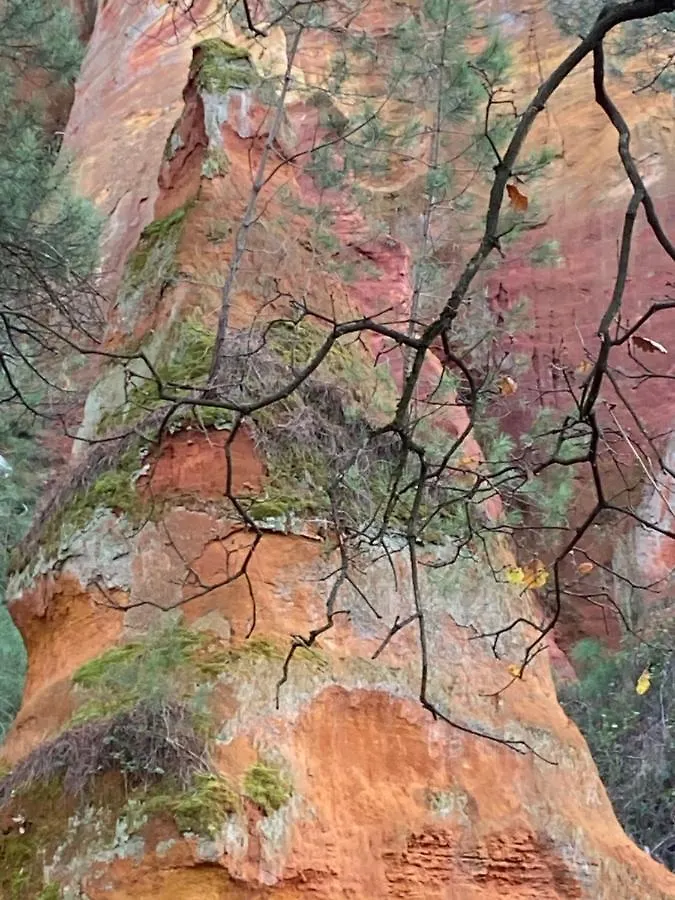 Villa Des Roses Roussillon