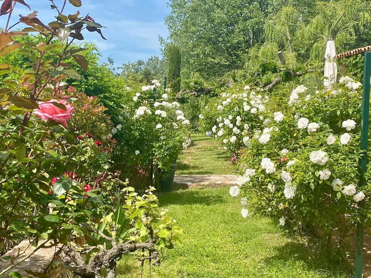 Villa Des Roses Roussillon  Bed & Breakfast