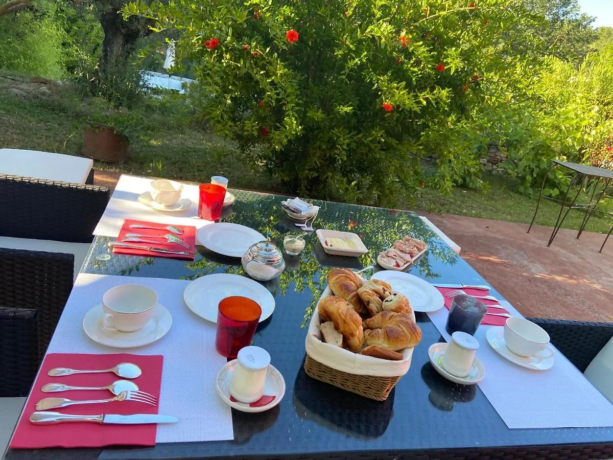 Villa Des Roses Roussillon  Bed & Breakfast Roussillon (Vaucluse)